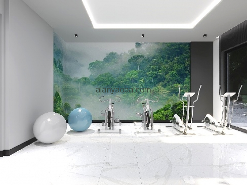 GYM 1 (1)