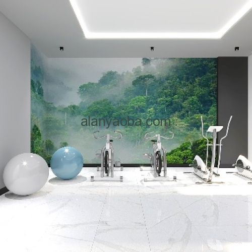 GYM 1 (1)
